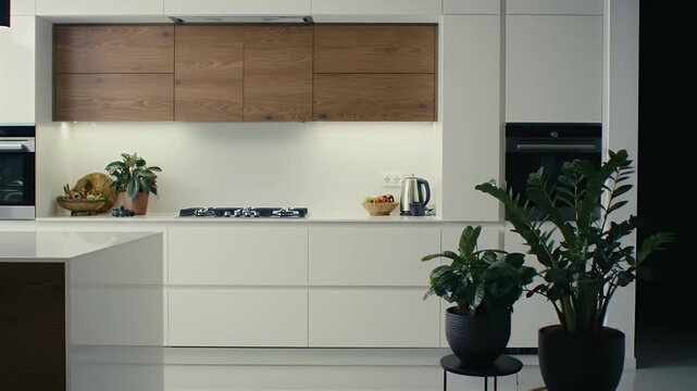 Modern Kitchen Interior with White Cabinets and Wooden Accents Plants in Potted in Background