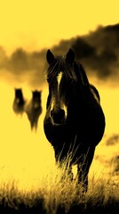 Wild horses graze peacefully in the misty meadow during early morning hours in a serene mountain landscape