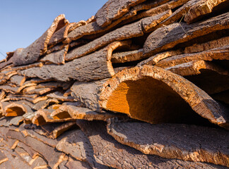 Cork sheets close up, fresh harvested cork bark pile stored in open air.