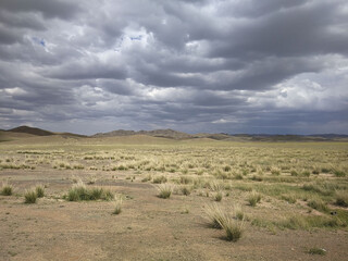Obraz premium The Gobi Desert is a large desert or brushland region in East Asia