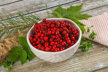 Natural organic wild forwst lingonberry