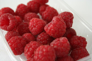 Delicious red raspberries freshly picked from the plant.