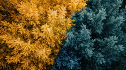 Vibrant Contrast of Golden and Teal Foliage in Nature Landscape