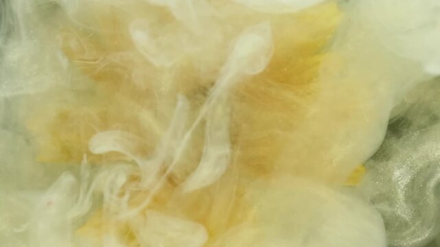 Shiny floral steam. Sparkling splash. Defocused yellow color doronicum plant blend paint in water on abstract art acrylic background.
