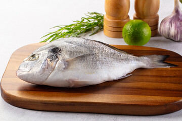 Raw fresh uncooked dorada fish