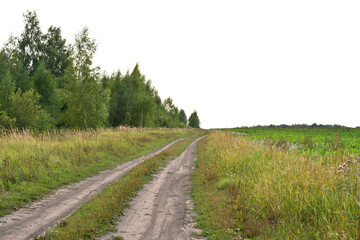 Winding Dirt Road Through Green Fields and Forest Edge