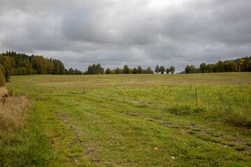 Fototapeta premium field road through the forest, field and forest landscape, view from the field to the forest and sky