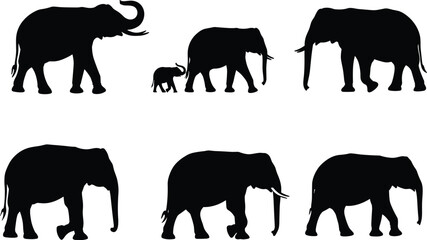 Elephant silhouette vector illustration, wildlife animal pose graphic, black design with adult and baby elephants, nature species movement for safari and family theme