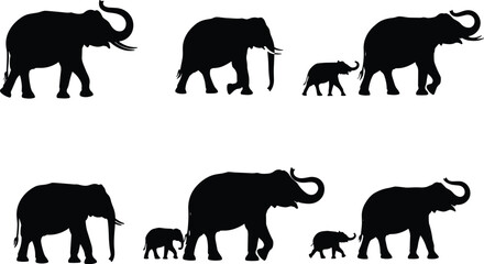 Elephant silhouette vector illustration, wildlife family group graphic, black animal design with baby and adult elephants, nature species pose for safari theme