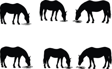 Horse silhouettes drinking water, minimal style, black vector animals, ripple effect, nature behavior, grazing pose, wildlife illustration, peaceful scene, stock content
