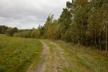 Fototapeta premium road through the forest, beautiful landscape with autumn atmosphere in the forest and gray sky, yellowed leaves next to green on the trees in the forest, autumn forest, autumn landscape