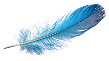 Vivid blue bird feather with subtle color gradient, isolated on transparent background, soft light glow, fine fiber detail, macro realism.