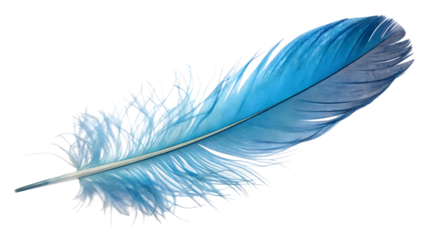 Vivid blue bird feather with subtle color gradient, isolated on transparent background, soft light glow, fine fiber detail, macro realism.