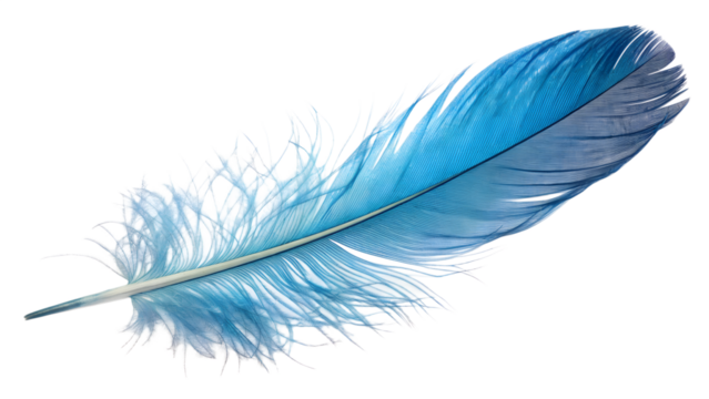 Vivid blue bird feather with subtle color gradient, isolated on transparent background, soft light glow, fine fiber detail, macro realism.