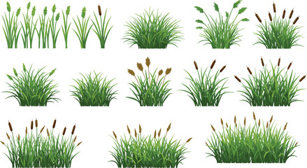 Grass clump illustrations, botanical elements, green foliage, cattail plants, nature design, landscaping assets, vector grass set, seasonal vegetation, garden decor © CreativeStorage