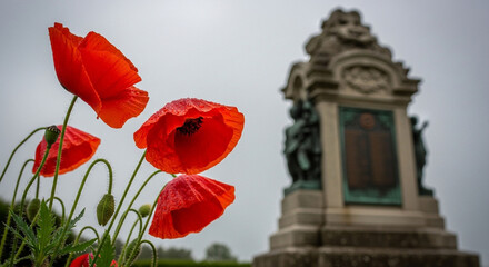 Red poppy flowers in front of a war memorial on a cloudy day