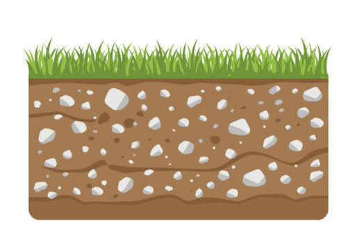 Soil Profile with Grass and Rocks Illustration.