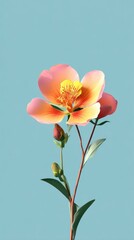 Beautiful orange flower with yellow center and green stem against blue background.
