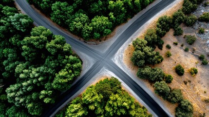 Aerial View of Forest Crossroads with Seasonal Contrast