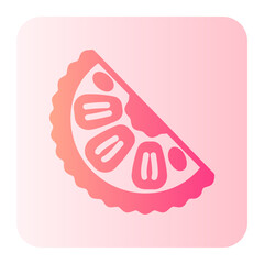 Obraz premium jackfruit gradient icon