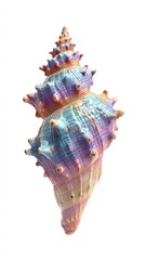 Obraz premium Colorful Seashell Spiral Shape Against White Background.
