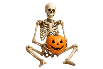Skeleton holding jack-o’-lantern on a transparent background. Halloween. Decoration. Fun.