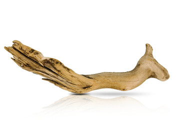 Wooden snags, old from wood on a white background with a shadow, isolate. Branches of sea driftwood...