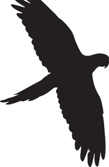 Black silhouette of a flying parrot bird