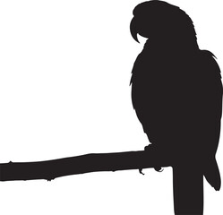 Black silhouette of a parrot perched on a branch bird