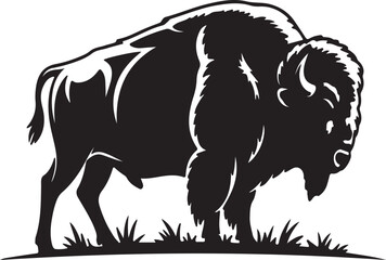 Majestic bison standing in grassy field buffalo animal