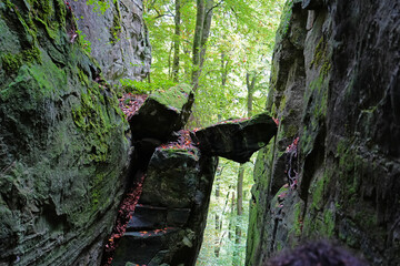Teufelsschlucht (Eifel)