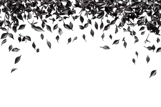 Dark leaves falling from above into a black abyss - Powered by Adobe
