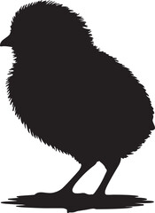Fluffy chick silhouette black white