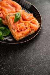 sandwich salmon smoked fish open sandwich delicious fresh portion size natural product tasty snack fresh delicious gourmet food background on the table rustic top view copy space pescetarian diet
