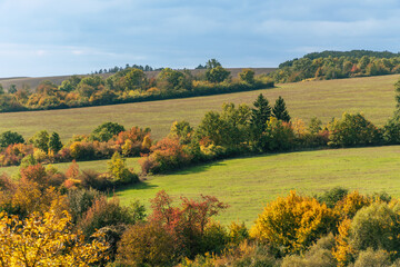 Autumn Fall Countryside Landscape with Vibrant Foliage