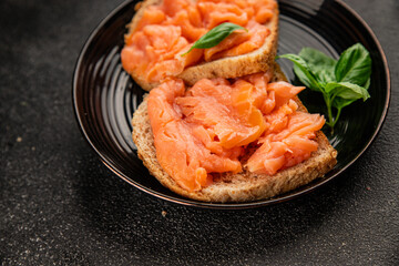 sandwich salmon smoked fish open sandwich delicious fresh portion size natural product tasty snack fresh delicious gourmet food background on the table rustic top view copy space pescetarian diet