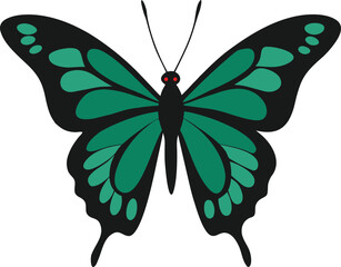 Emerald green butterfly with black borders isolated on white background isolated on transparent background silhouette