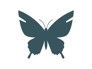 butterfly vector illustration
