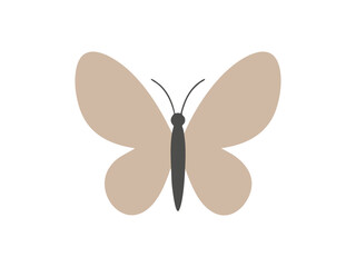 butterfly on white background