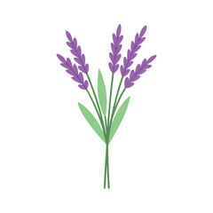 Fototapeta premium lavender plant bouquet vector art 