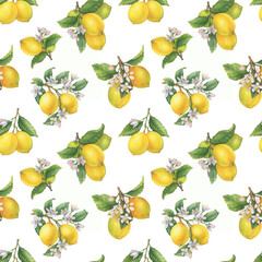Seamless pattern, wallpaper with fresh citrus yellow lemons fruit. Lemon tree branch with green leaves and flower. Watercolor hand-drawn illustration on white background