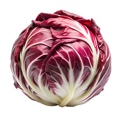 Fototapeta premium Radicchio whole isolated on transparent background