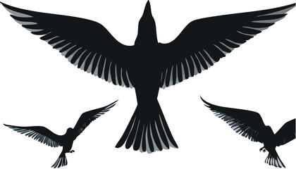 Black eagle vector silhouette illustration of a flying bird, perfect for a tattoo or design symbolizing freedom and wildlife