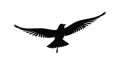Adobe IlluSilhouette of a bird flying with its wings spreadstrator Artwork