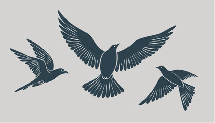 Black vector silhouette of a flying eagle and dove with outstretched wings as illustration of a bird symbol of peace