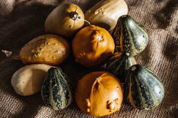 Yellow & Green Mini Decorative Pumpkins