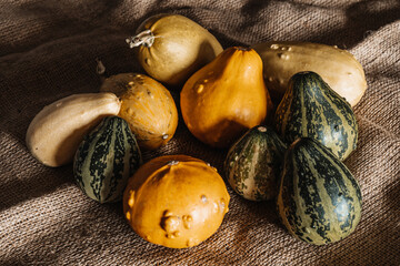 Yellow & Green Mini Decorative Pumpkins
