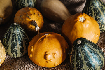 Yellow & Green Mini Decorative Pumpkins