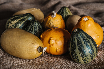Yellow & Green Mini Decorative Pumpkins