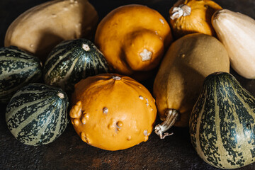 Yellow & Green Mini Decorative Pumpkins